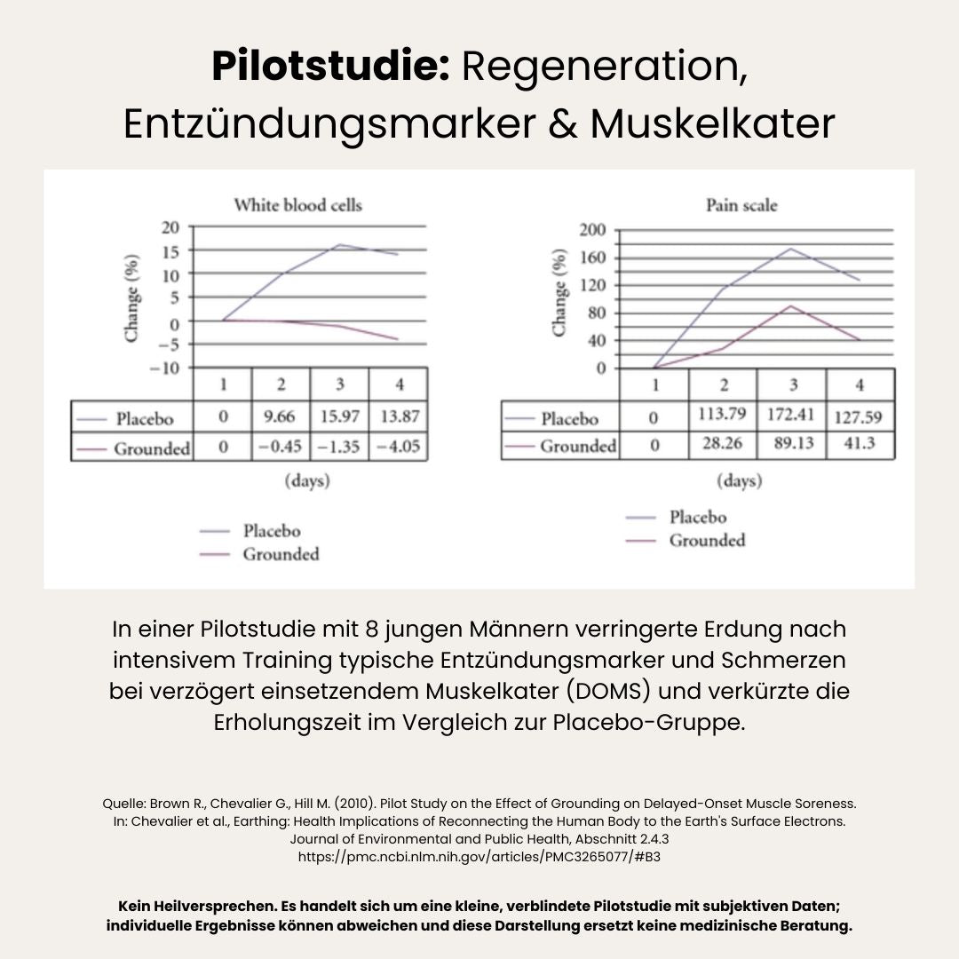 Erdungslaken · FLEX